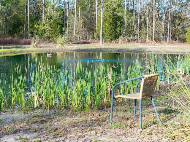 11001 225th Rd, Live Oak, FL 32060 - view of yard featuring a water view
