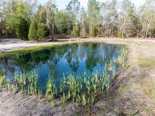 11001 225th Rd, Live Oak, FL 32060 - water view