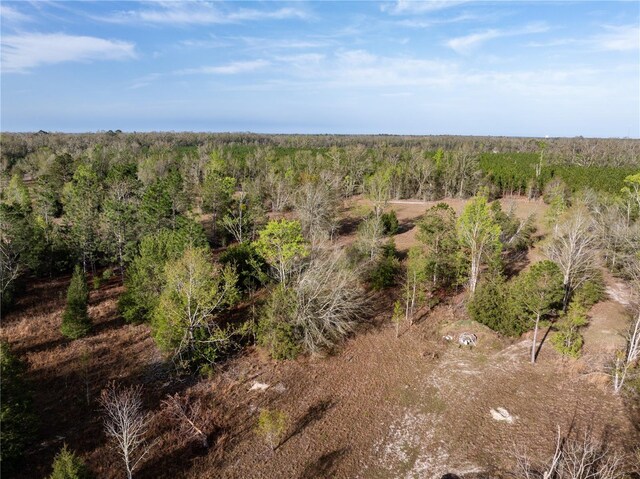 11001 225th Rd, Live Oak, FL 32060 - bird's eye view of a heavily wooded area