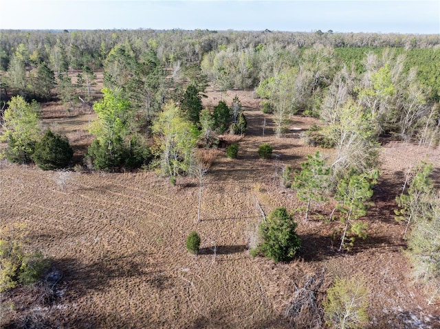 11001 225th Rd, Live Oak, FL 32060 - aerial overview of property's location with a heavily wooded area