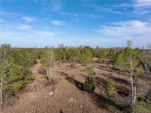 11001 225th Rd, Live Oak, FL 32060 - view of local wilderness