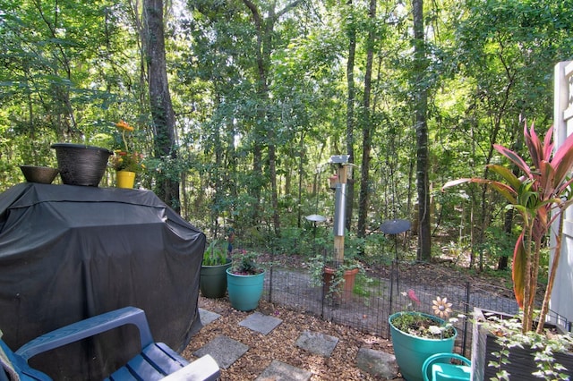 view of patio / terrace with grilling area