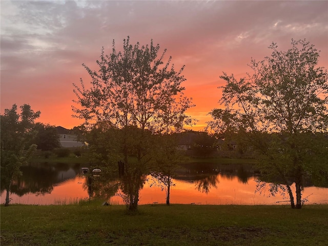 1084 NW 134th Way, Newberry, FL 32669 - water view