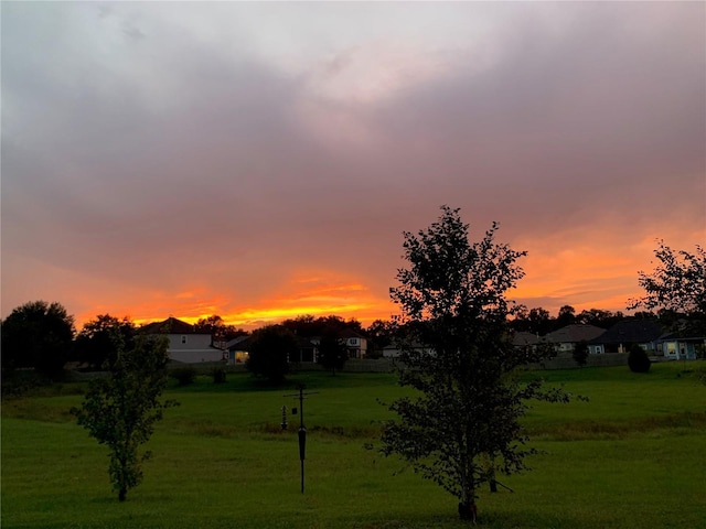 1084 NW 134th Way, Newberry, FL 32669 - yard at dusk featuring a yard
