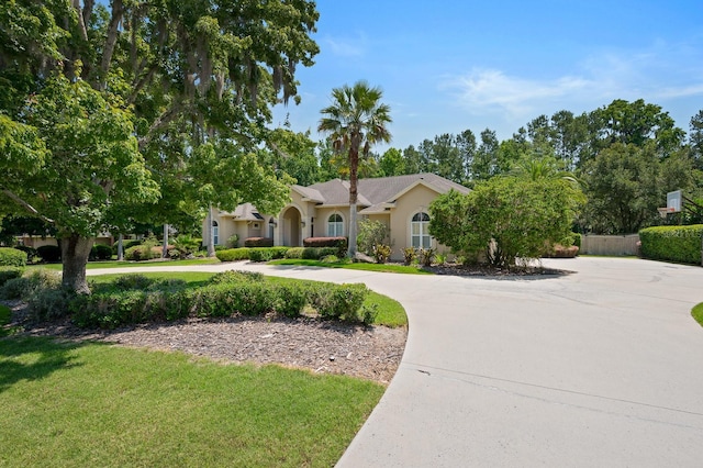 3533 SW 87th Dr, Gainesville, FL 32608 - view of front of house featuring curved driveway, a front lawn, and stucco siding