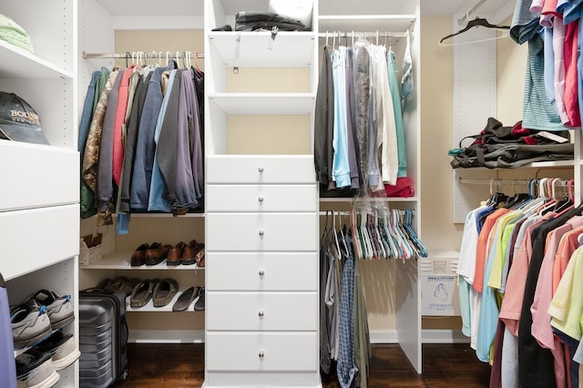 3533 SW 87th Dr, Gainesville, FL 32608 - spacious closet with wood finished floors