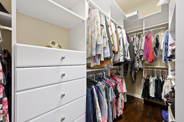 3533 SW 87th Dr, Gainesville, FL 32608 - walk in closet with wood finished floors