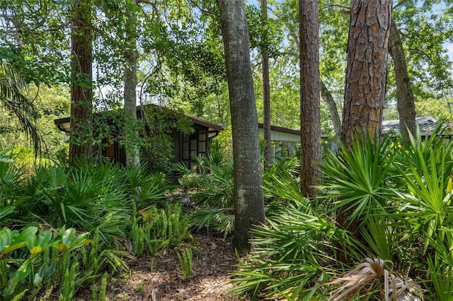 8689 NW 42nd Dr, Gainesville, FL 32653 - view of nature