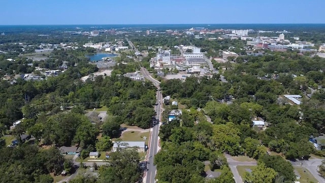 919 SE 6th Ave, Gainesville, FL 32601 - photo 4