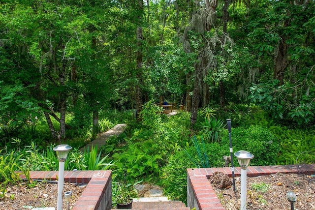 212 SE Willow Dr, Lake City, FL 32025 - photo 30