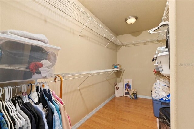 1006 NW 12th Dr, Chiefland, FL 32626 - photo 15