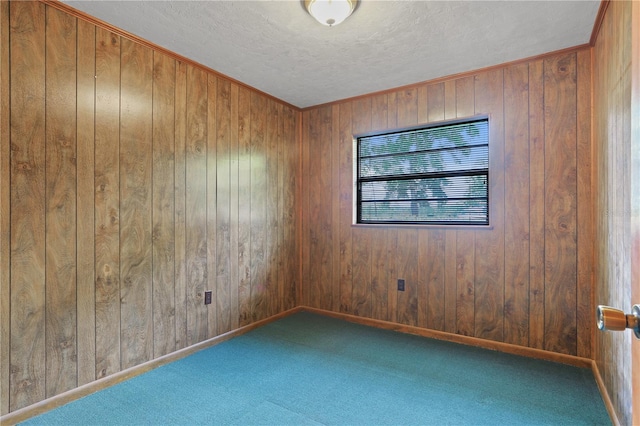 8804 NW 176th Ter, Alachua, FL 32615 - spare room featuring wood walls, a textured ceiling, carpet, and baseboards