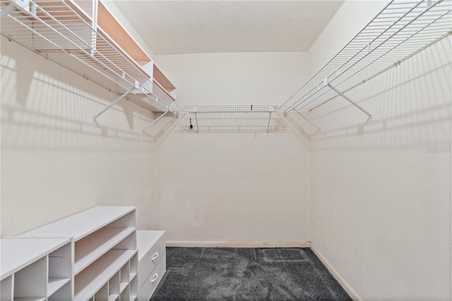 8804 NW 176th Ter, Alachua, FL 32615 - spacious closet featuring carpet flooring