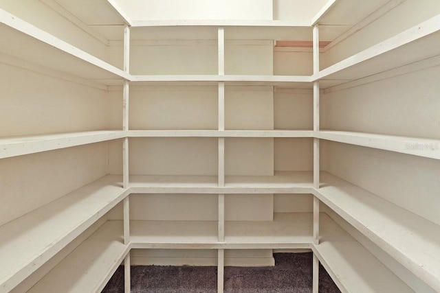 8804 NW 176th Ter, Alachua, FL 32615 - view of storage area