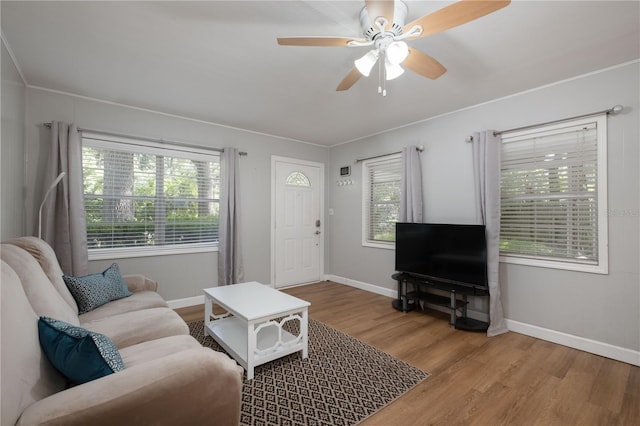 4502 SW 47th Way, Gainesville, FL 32608 - living room with wood finished floors, baseboards, ceiling fan, and ornamental molding