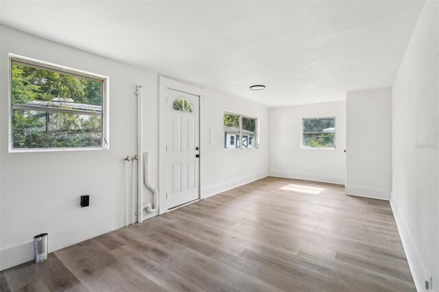 20014 SE 219th Ave, Hawthorne, FL 32640 - entryway featuring wood finished floors