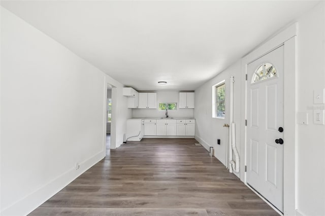 20014 SE 219th Ave, Hawthorne, FL 32640 - foyer entrance with healthy amount of natural light, dark wood-style floors, and baseboards