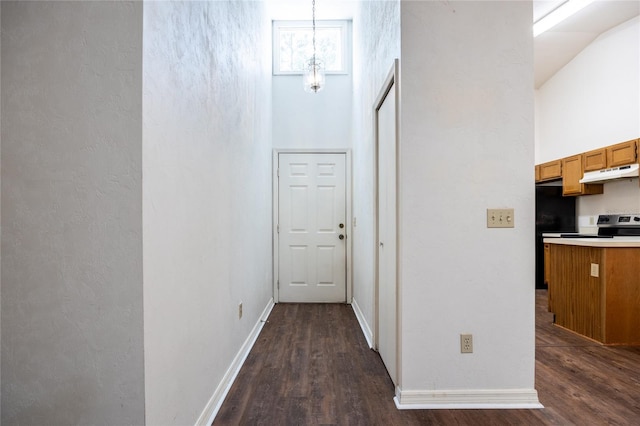 231 NW 48th Blvd Unit 0, Gainesville, FL 32607 - hallway featuring a towering ceiling, dark wood-style floors, and baseboards