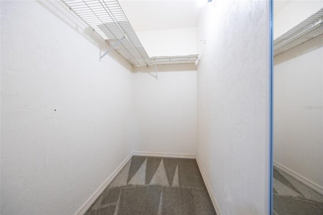 231 NW 48th Blvd Unit 0, Gainesville, FL 32607 - spacious closet featuring carpet