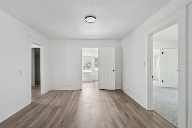 20016 SE 219th Ave, Hawthorne, FL 32640 - spare room featuring wood finished floors and baseboards