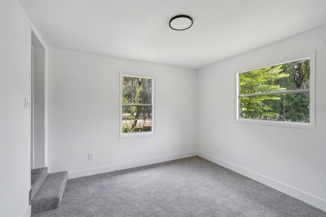 20016 SE 219th Ave, Hawthorne, FL 32640 - spare room featuring plenty of natural light, carpet floors, and baseboards