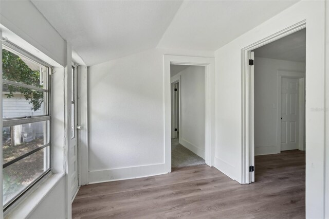 20016 SE 219th Ave, Hawthorne, FL 32640 - spare room featuring light wood-type flooring, baseboards, and lofted ceiling
