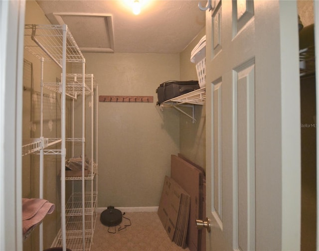 3425 NW 48th Ter, Gainesville, FL 32606 - walk in closet with attic access