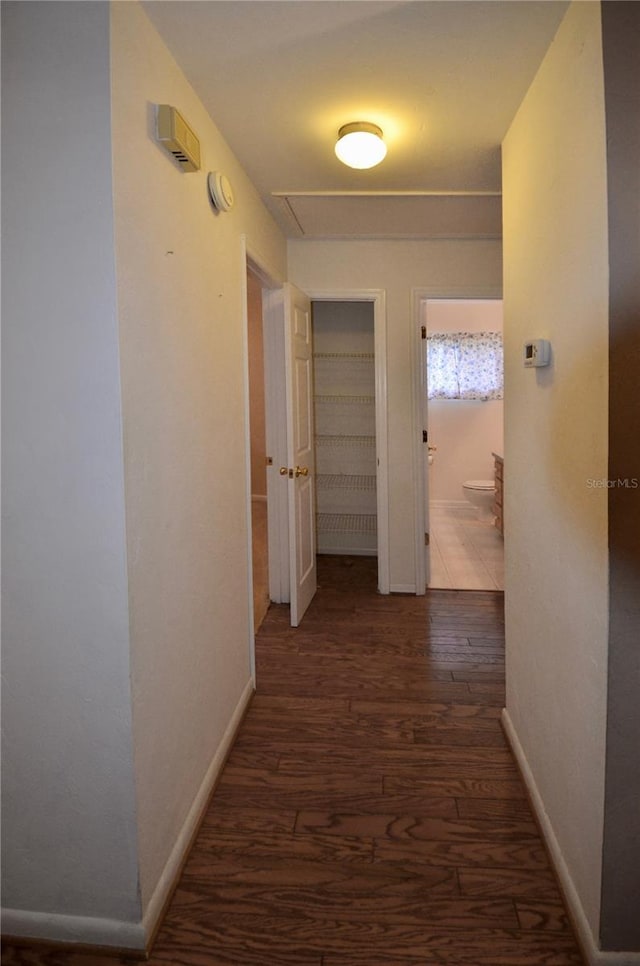 3425 NW 48th Ter, Gainesville, FL 32606 - hallway with wood finished floors and baseboards