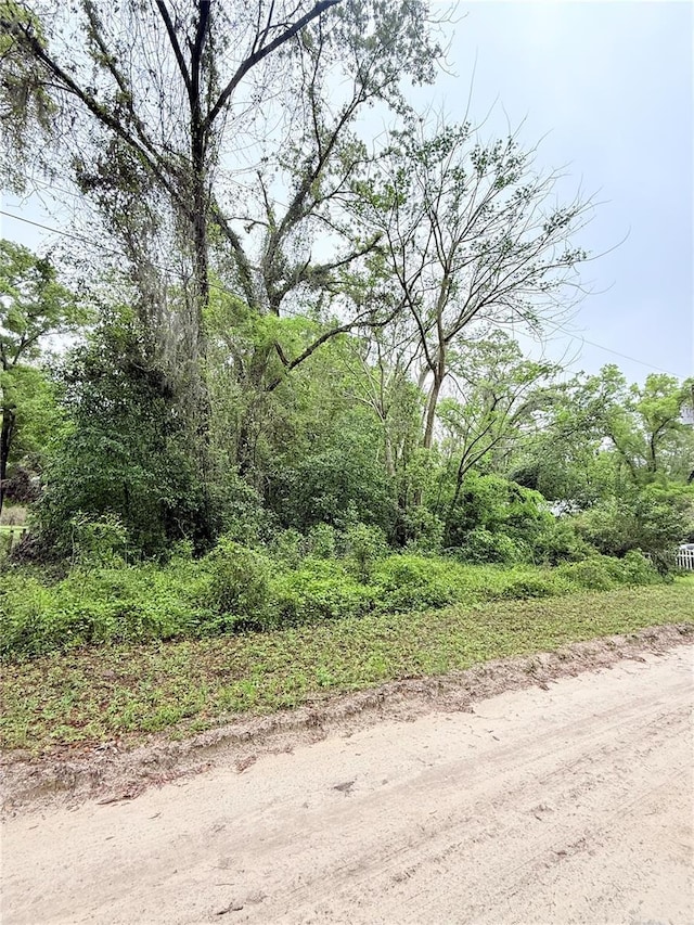 8630 SW 82nd Ter, Trenton, FL 32693 - photo 1