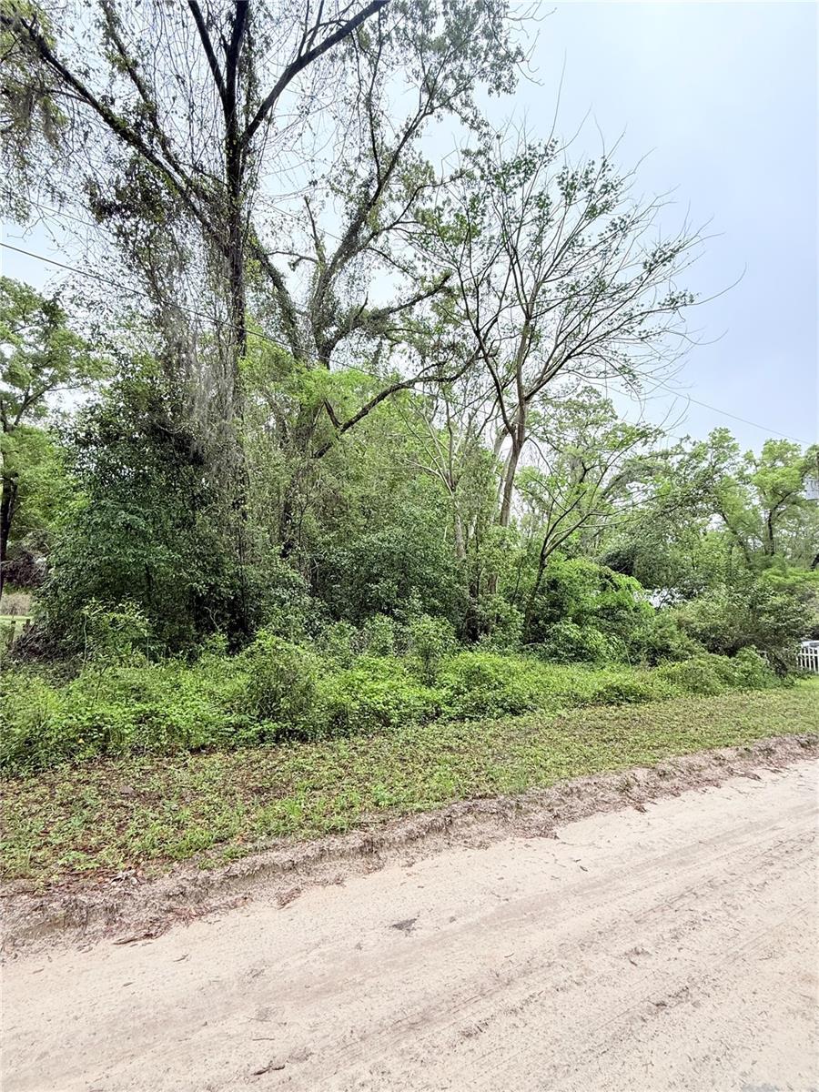 8630 SW 82nd Ter, Trenton, FL 32693 - photo 2