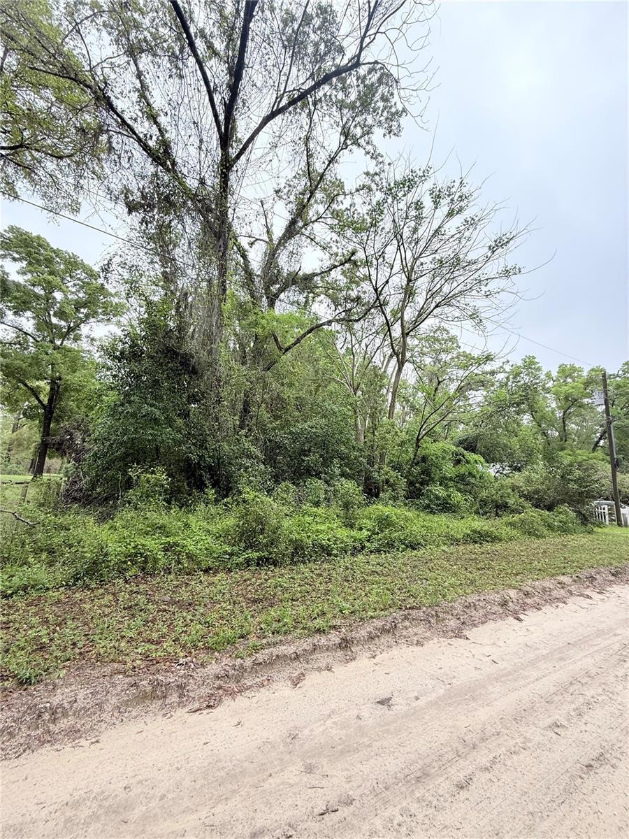 8630 SW 82nd Ter, Trenton, FL 32693 - photo 3