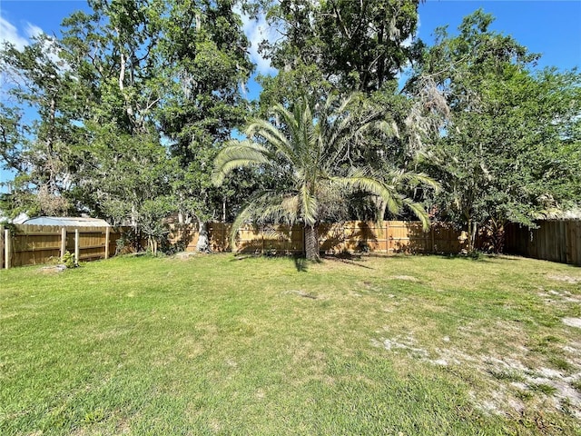 4370 NW 60th Ter, Gainesville, FL 32606 - view of yard