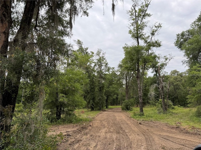 TBD NE 127th Pl, Bronson, FL 32621