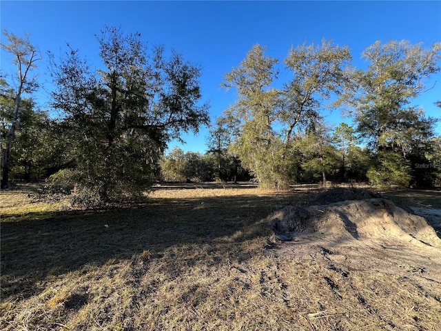 TBD NE 127th Pl, Bronson, FL 32621