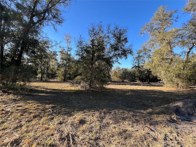 TBD NE 127th Pl, Bronson, FL 32621