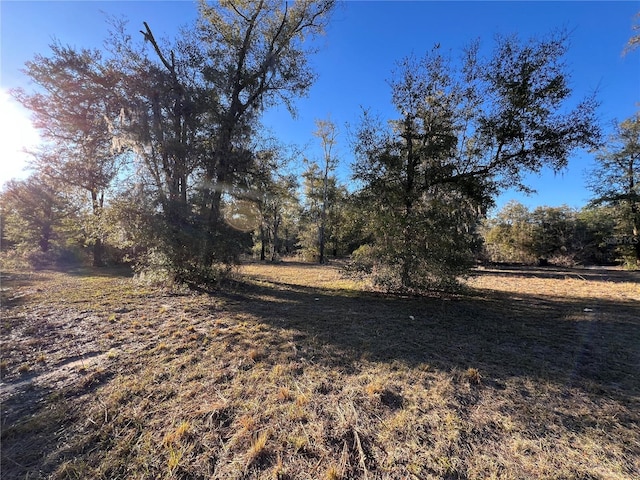 TBD NE 127th Pl, Bronson, FL 32621
