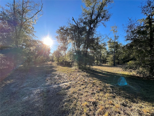 TBD NE 127th Pl, Bronson, FL 32621