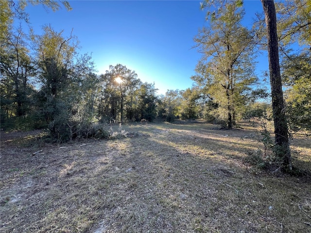TBD NE 127th Pl, Bronson, FL 32621