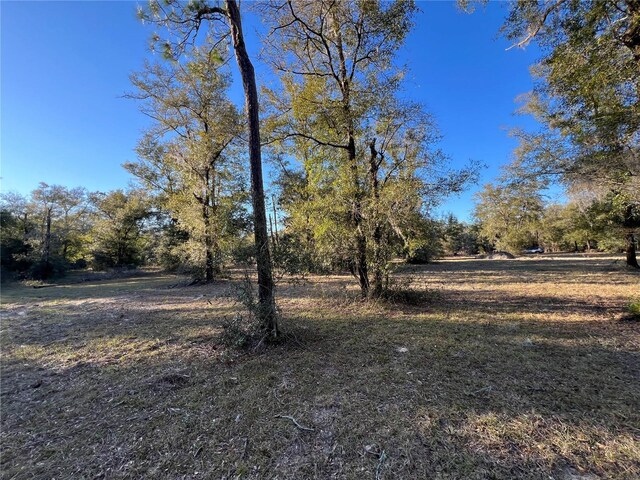 TBD NE 127th Pl, Bronson, FL 32621
