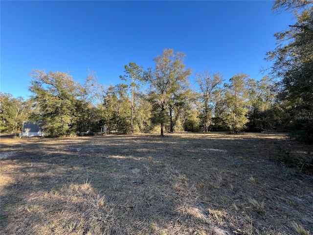 TBD NE 127th Pl, Bronson, FL 32621