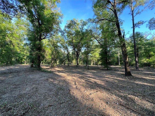 TBD NE 126th St Unit B, Bronson, FL 32621