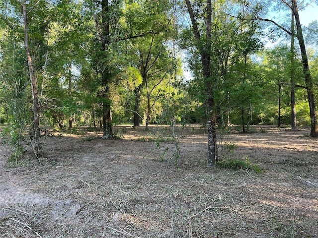 TBD NE 126th St Unit B, Bronson, FL 32621