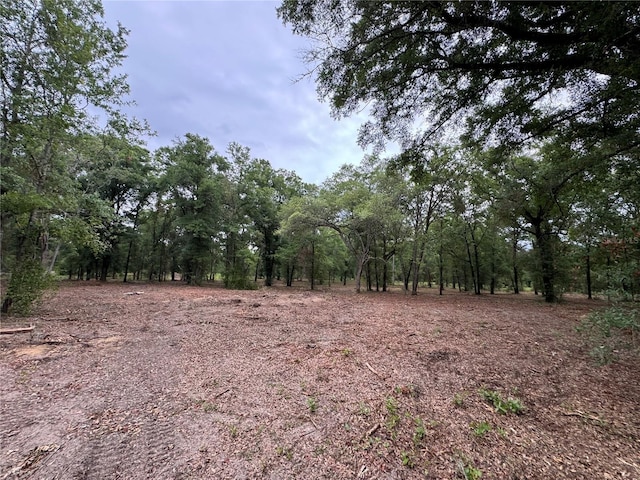 TBD NE 126th St Unit A, Bronson, FL 32621