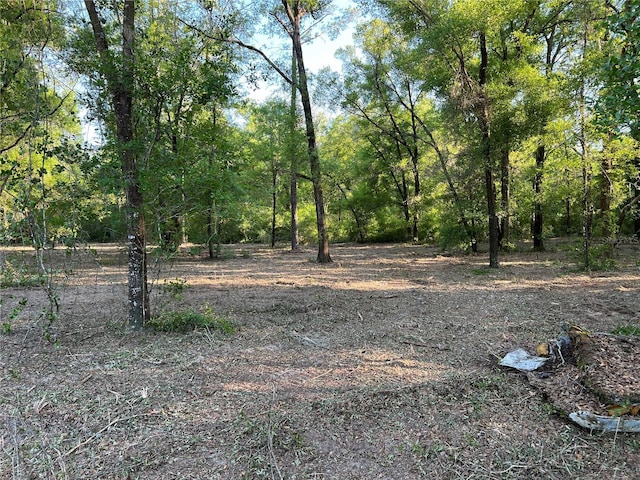 TBD NE 126th St Unit A, Bronson, FL 32621