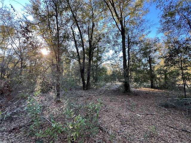 TBD NE 126th St Unit A, Bronson, FL 32621