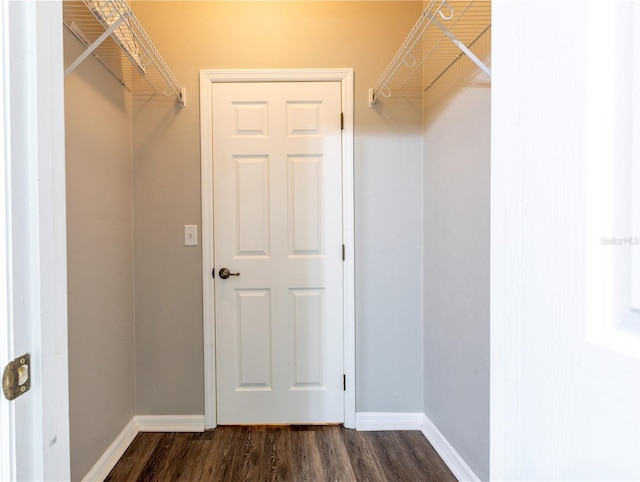 528 NW 39th Rd Unit 101, Gainesville, FL 32607 - spacious closet with dark wood-type flooring