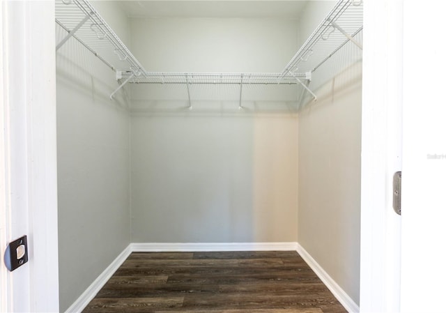 528 NW 39th Rd Unit 101, Gainesville, FL 32607 - spacious closet with dark wood-style floors