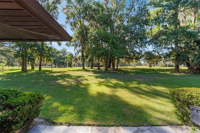 6015 SW 36th Way, Gainesville, FL 32608 - view of grassy yard
