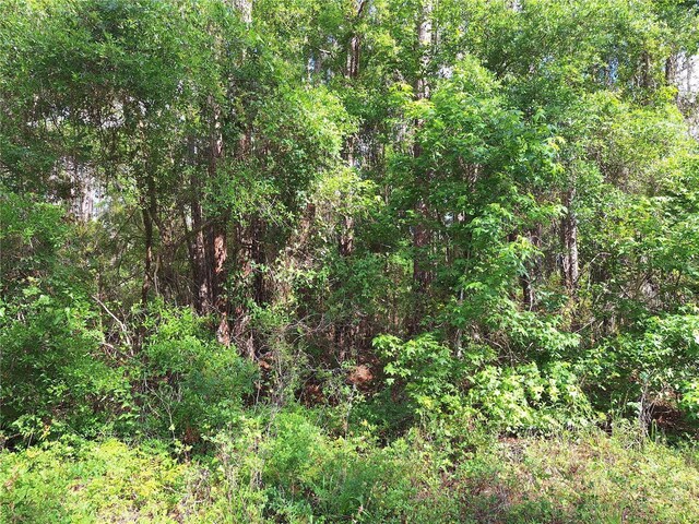 TBD00 NE 512th St, Old Town, FL 32680 - photo 3