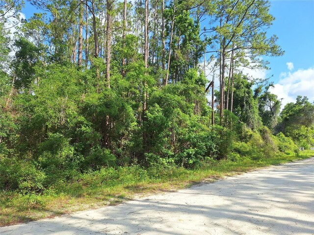 TBD00 NE 512th St, Old Town, FL 32680 - photo 4